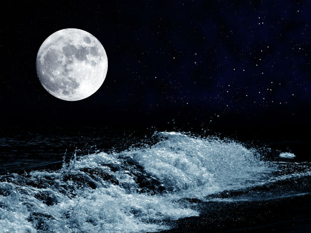 91D71225-06A1-4C90-9F00-8D3044CE7AF4